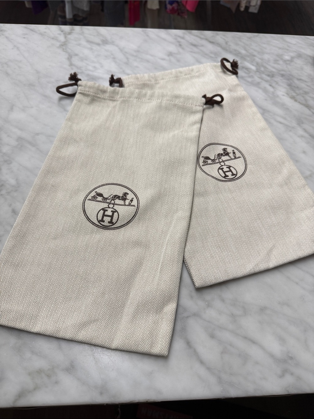 Hermes Two Shoe Sleeper/Storage Bags